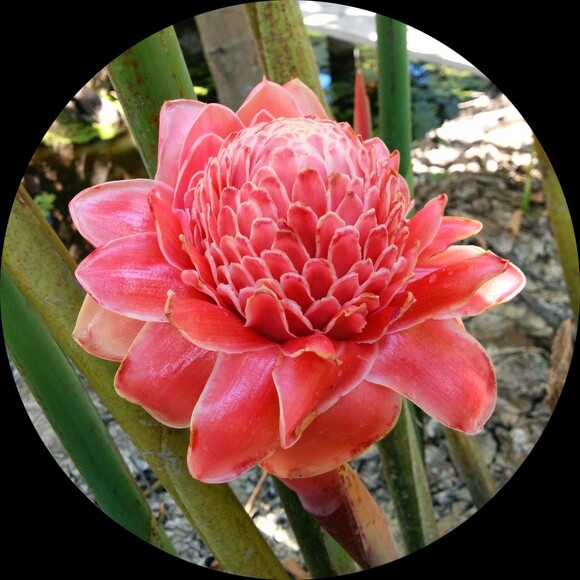floramoda2023